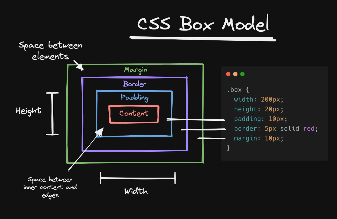 การใช้งาน CSS Box Model - Nkaub Blog